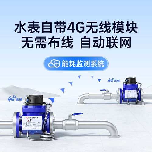 工业大口径智能水表 4G/NB无线远传水表 法兰水表DN50/100赠系X20