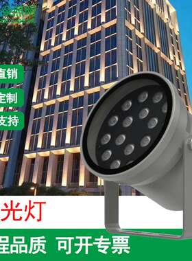 投光灯18W/24W/36W48W72W96W全彩暖白别墅园林古迹文旅景观灯亮化