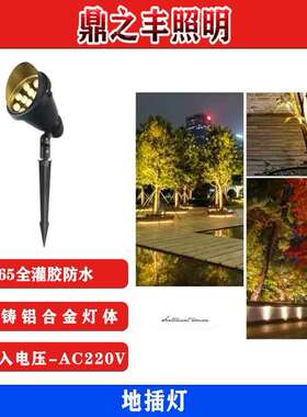 插地灯户外防水七彩黄光照树灯led草坪景观花园简约聚光cob射灯