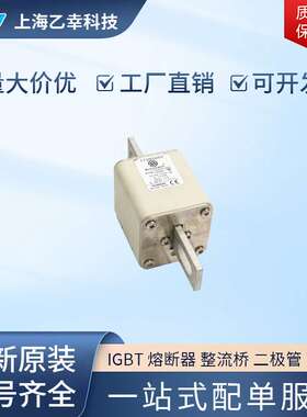 巴斯曼熔断器  170M5645 170M5646 170M5647 170M5648 170M5649