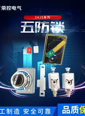 202JS 配电柜高压柜防误操作程序锁 五防锁205 206 208