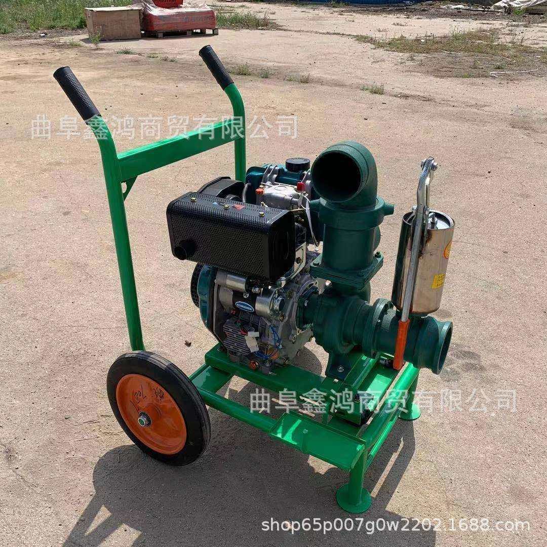 汽油190F离心泵6寸 175柴油推车式抽水泵 柴油汽油离心泵3寸,鲜花速递/花卉仿真/绿植园艺,割草机/草坪机,淘宝优惠券,粉丝福利购,淘宝优惠卷