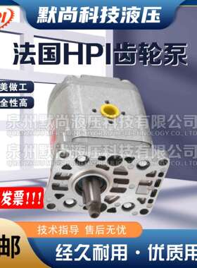 法国HPI齿轮泵P1BAN2004/2006/2008/2010/2012/2014/2015液压油泵