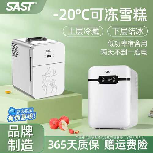 SAST车载迷你小冰箱宿舍出租房小型母乳单人用冷藏箱车家瑞配