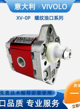 X0P0202ABBA/X0P0201ABBA意大利VIVOLO铝合金齿轮泵维沃尔液压泵