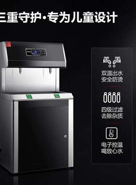 德玛仕 商用饮水机四级过滤双温校园净饮直饮机 SRZ-20/SRZ-2L-L3