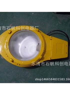 BLC8610防爆道路灯（IIC）马路灯 道路灯 BAM55LED-RY-T101