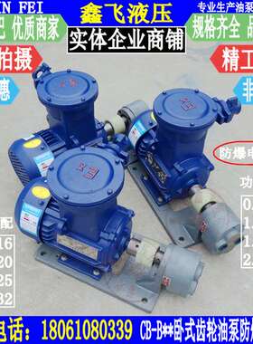 WBZ-CB-B16 B20 B25 B32卧式齿轮油泵防爆电机组1.5KW YB3-90L-4