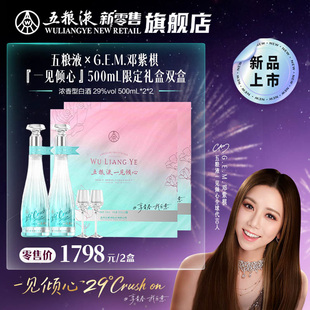 【邓紫棋推荐】29度五粮液一见倾心限定礼盒500mL*2瓶白酒双盒装
