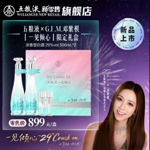 【邓紫棋推荐】29度五粮液一见倾心限定礼盒500mL*2瓶白酒单盒