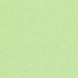 A3++天天印丝棉封面纸平版花纹 a3++皮纹纸 封面纸 封皮纸 100张