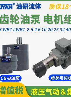 LWBZ齿轮泵CB-BM液压CB-B10油泵6/4/16/20/25/32/40/50/63/80/100