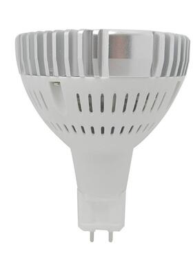 电商热销 led g12 par30 30W 服装店用 g12射灯 E27灯头厂家出口