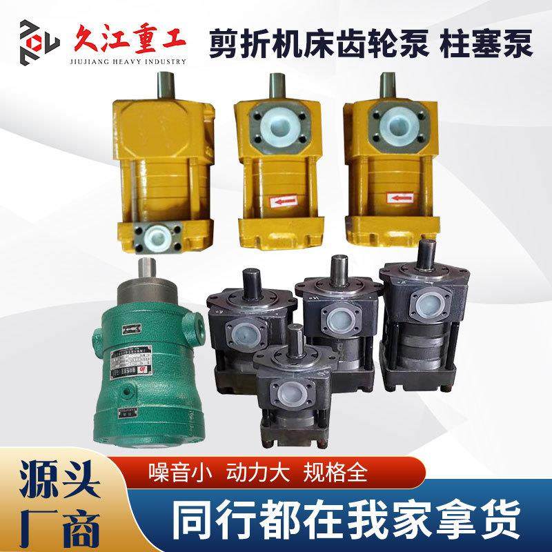 上海内啮合齿轮泵NBZ5-G80FG100F剪板机折弯机配件轴向柱塞泵大全