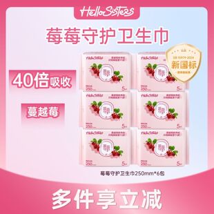 HELLOSISTERS6件日夜用姨妈巾