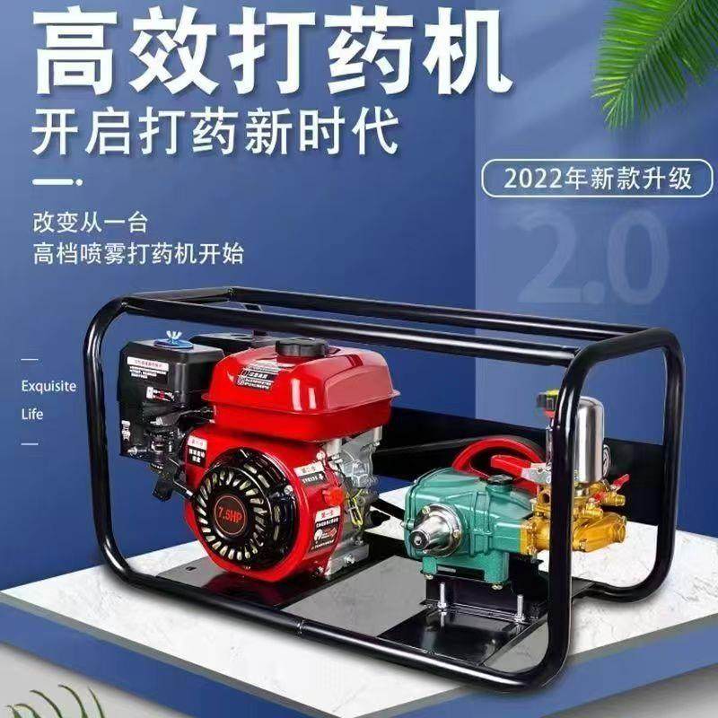 汽油打药机可移动喷壶农田园林果园喷药机打药泵农田喷雾机,农机/农具/农膜,植保机械,淘宝优惠券,粉丝福利购,淘宝优惠卷
