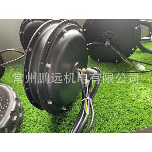 鹏远电机 205辐条驱前100开档侧线电机 50W-10500W 辐出条205-100