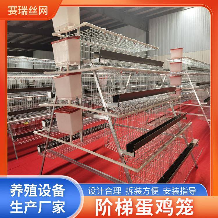 鸡舍四层五门阶梯蛋鸡笼养鸡场梯形蛋鸡笼养殖场鸡鸭养殖笼