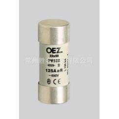 690V OEZ保险丝管22x58mm 125A 120kA高品质熔断器 PV522