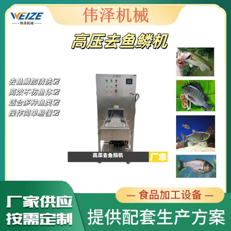 全自动高压水喷淋除鱼鳞的机器设备 鲜鱼去鳞伟泽机械