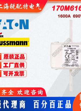 170M6169快速熔断器 690V 1600A 巴斯曼BUSSMANN快速熔断器