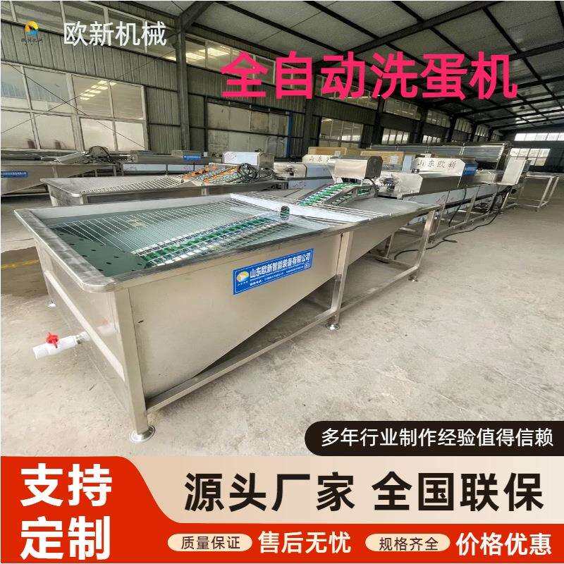单双排全自动蛋品清洗机鸡蛋鸭蛋洗蛋机器鸡蛋清洗光检灭菌一体机