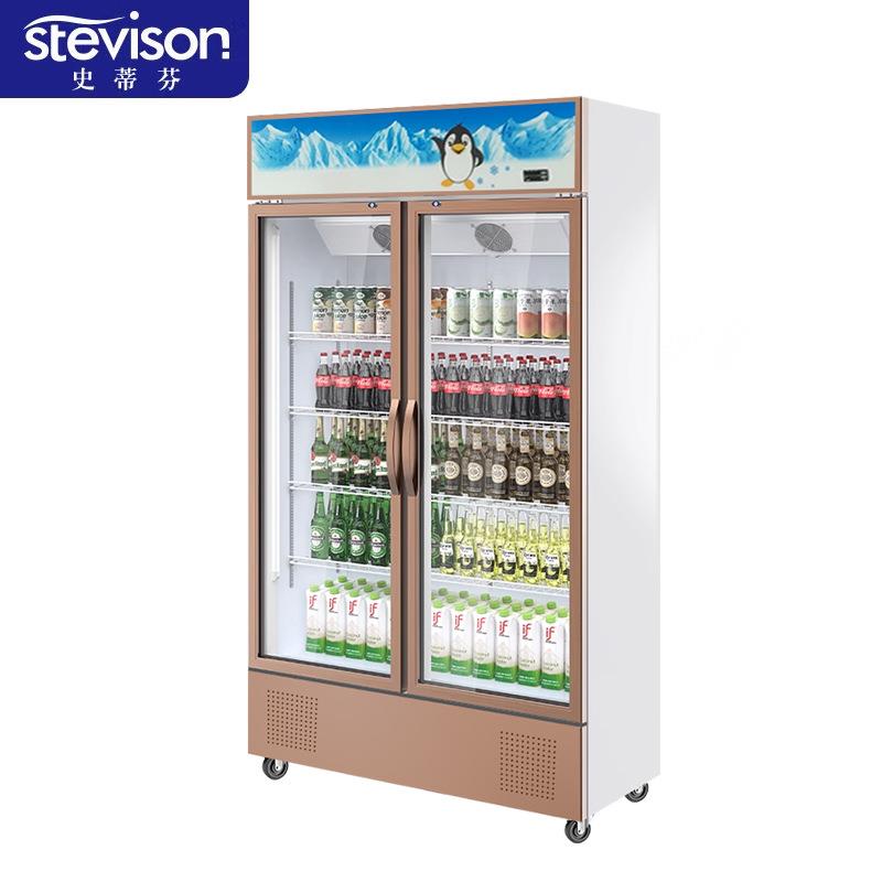 史蒂芬Stevison 双门展示柜冷藏保鲜柜立式冰柜饮料柜 LF-660M