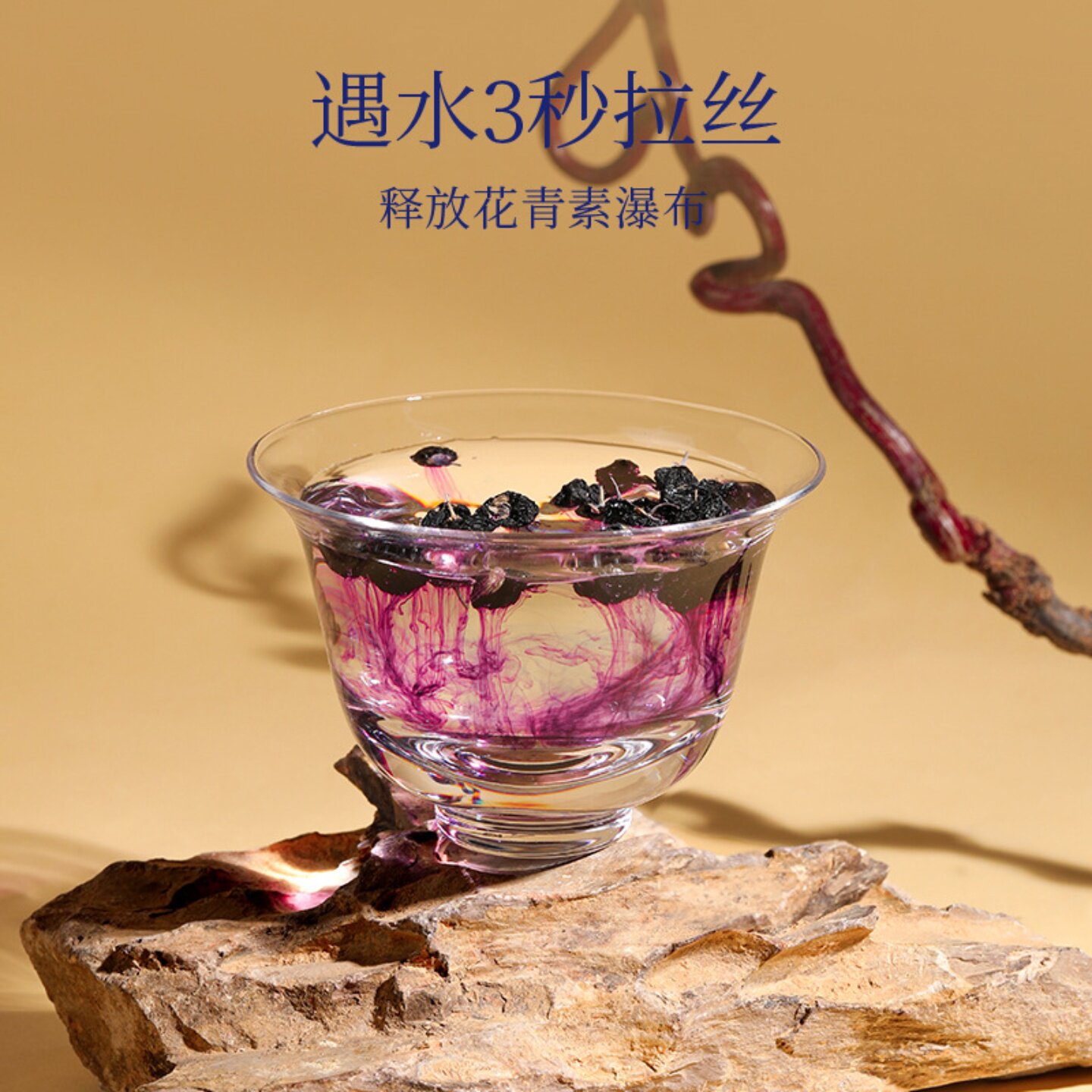 青海野生牛头果黑枸杞12罐礼盒装黑枸杞牛头果免洗特大果黑枸杞子