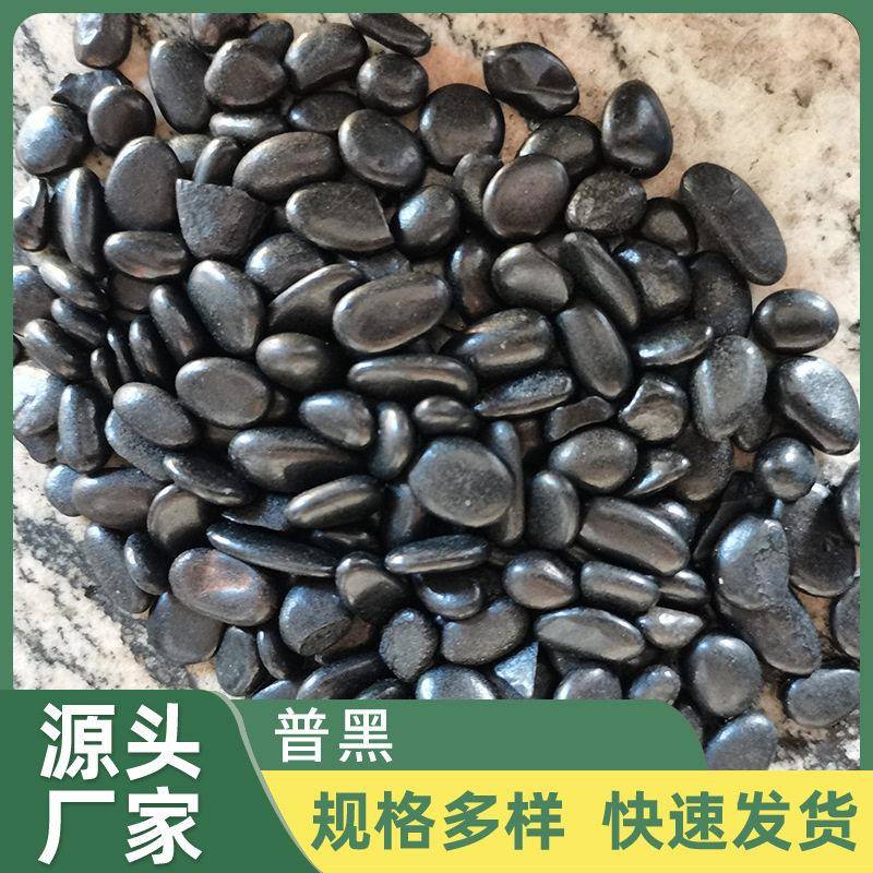 珠海黑色石雨花石鹅卵石盆栽鱼缸小黑石子园艺铺地装饰园林石