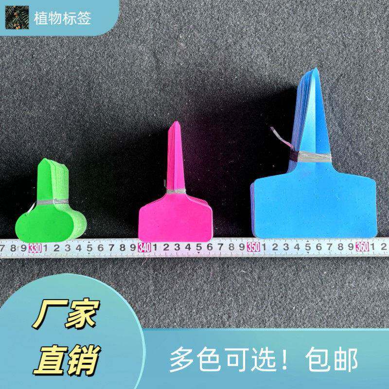 园艺标签插牌花名标签植物彩色塑料花盆花名插地标识牌园艺标记牌
