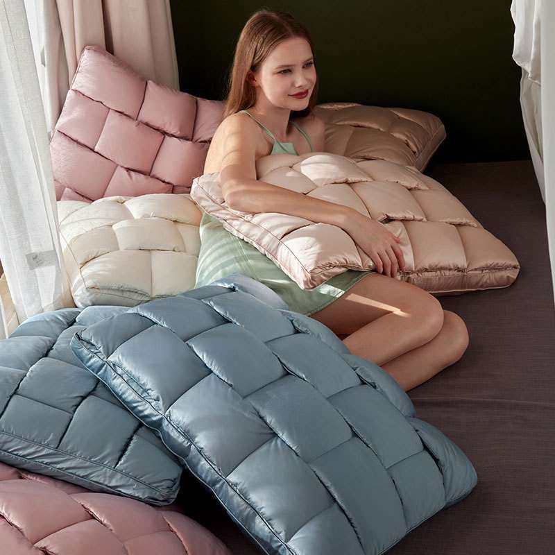 2025新款鹅绒分区睡眠枕芯学生宿舍单人枕纯色家用一对软枕,鲜花速递/花卉仿真/绿植园艺,割草机/草坪机,淘宝优惠券,粉丝福利购,淘宝优惠卷