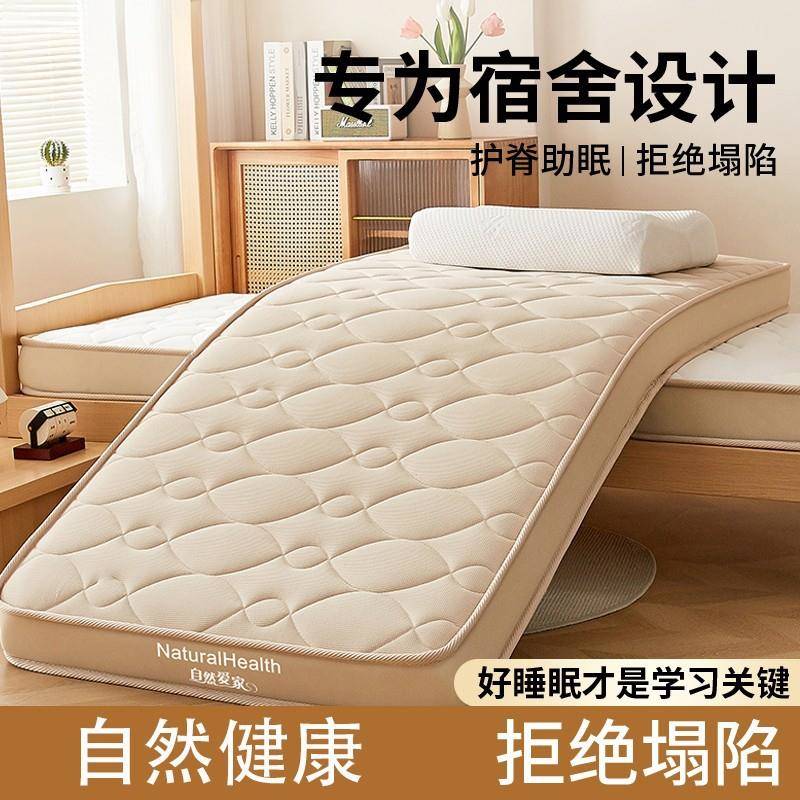 乳胶床垫遮盖物加厚软垫家用卧室床褥垫学生宿舍专用榻榻米软垫子