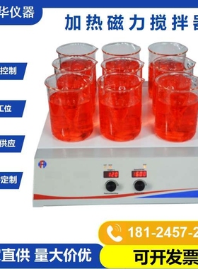 加热磁力搅拌器 9位磁力搅拌机Stirrer Hotplate厂家生产