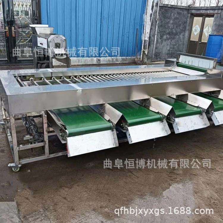 厂家砂糖橘筛选机 土豆分级机 滚杠式大蒜分选机 千禧果选果机