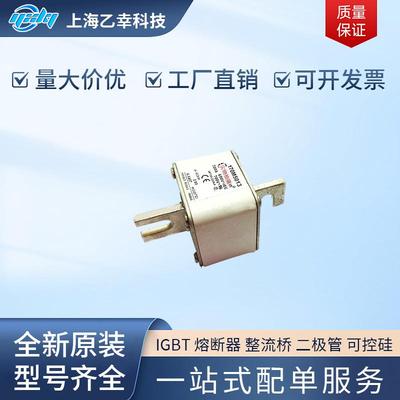 巴斯曼熔断器 170M5531 170M5532 170M5533 170M5534 170M5535