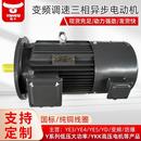 90W变频调速三相异步电机 2极3 衡水电机厂家定制生产YV2 YVP