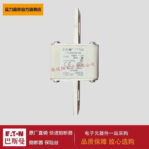 熔断器170M6666 170M6667 170M6668 170M6669 170M6670 170M6671
