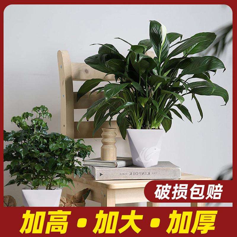 菱形盆花盆大号花盆陶瓷金钱树发财树塑料花盆家用天堂鸟花盆树脂