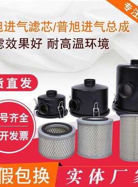真空泵空气滤芯 总成F006 04 03莱宝 普旭 里其乐ZVF50进气过滤器