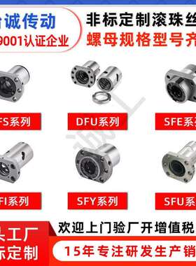 滚珠丝杆厂家直供SFE2525大导程研磨滚珠丝杆轧冷制滚珠丝杠螺杆