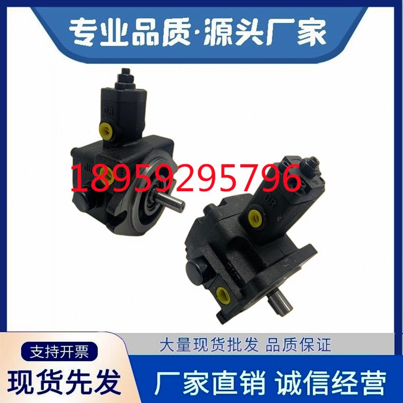 55永灵 PV居YV2液压泵30L 12油泵 8-15C20  -35仙 -70P401-叶片泵