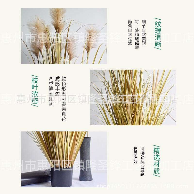 仿真洋葱草盆栽园林绿化盆景家居装饰大型芦苇草蒲苇草盆栽绿植