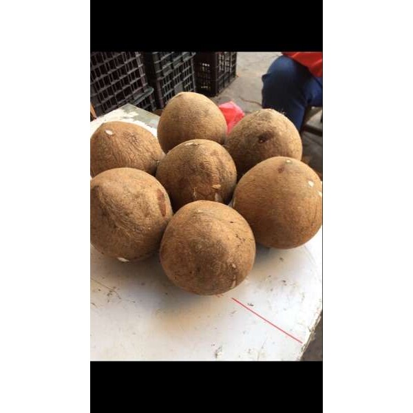 椰子开壳机去壳机剥壳机脱壳机器椰子机刨皮机开盖机器厂家直销