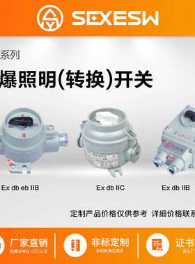 升羿SE系列防爆防腐照明转换开关防爆照明开关  220V380V10A