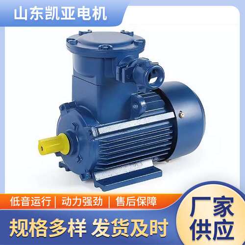 防爆电机2.2kw/355kw厂家直发YBX3 YBX4 YBX5 YBBP山东电动机厂