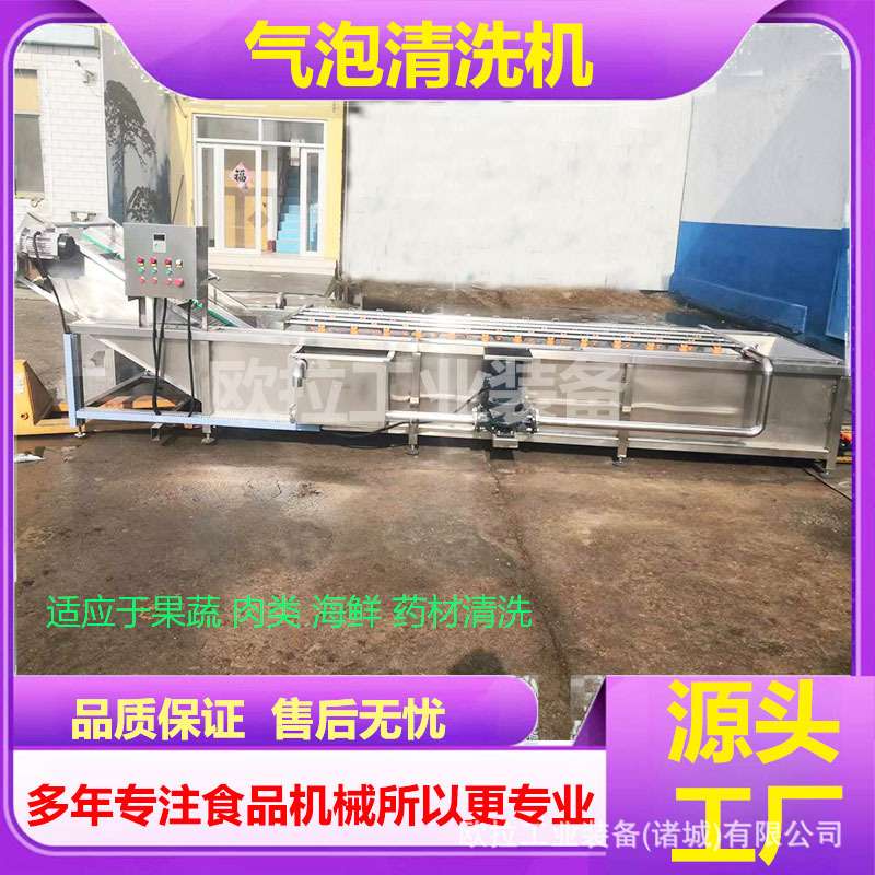豆角辣椒根茎类蔬菜清洗机器 自动洗菜机 生姜荷藕去泥气泡清洗机