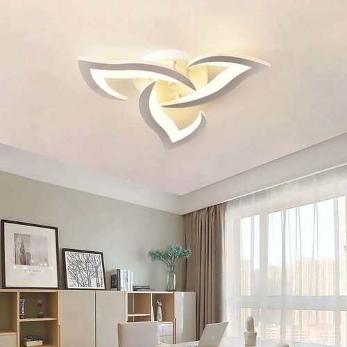 C 60425 Modern Living Room Ceiling Lamp 客厅吸顶灯 跨境代发