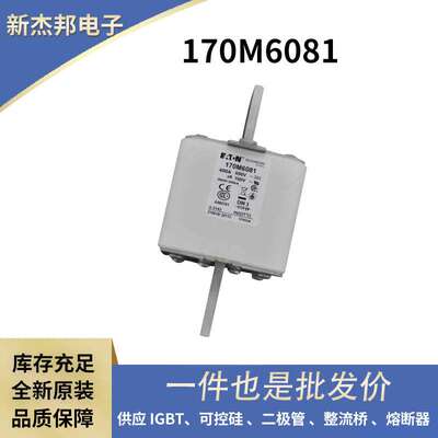 170M6081 170M6148 170M6170 快速熔断器保险丝原厂现货插片式