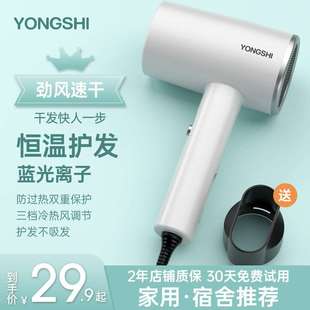 永士发廊电吹风家用吹风机大风力大功率离子护发理发店男女专用