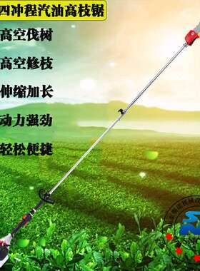 139F四冲程汽油高枝锯 园林修枝修整高枝油锯 电业局打枝伐条油锯